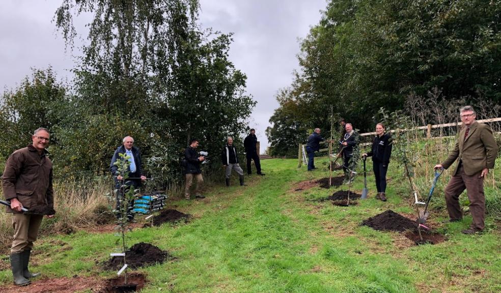Devon County Council 05 Oct 2020 First trees planted in Saving Devon's